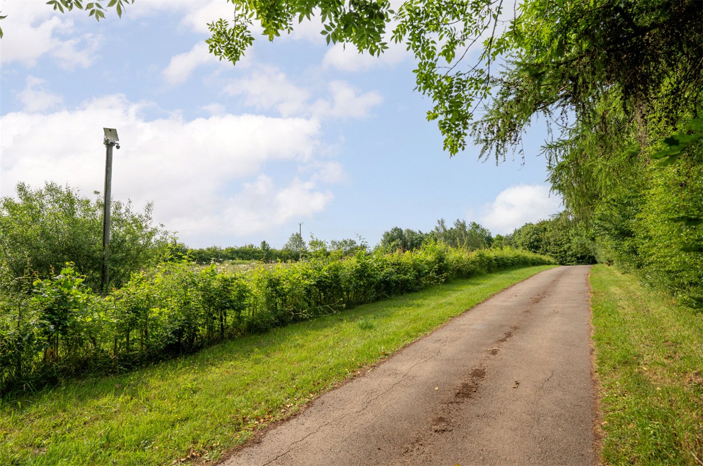 Driveway Paddocks